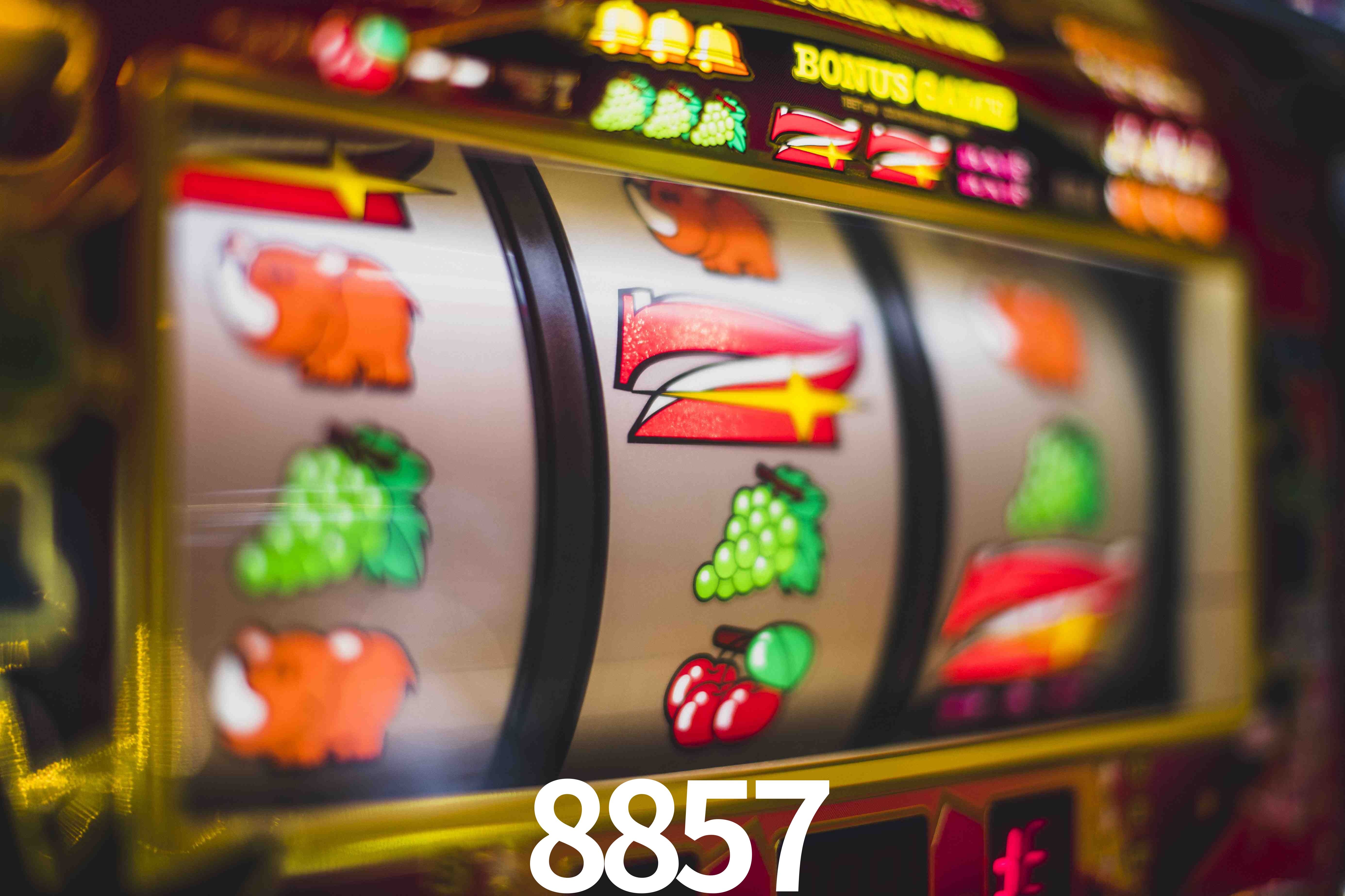 Basketball Betting 8857